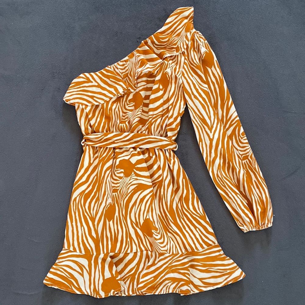 Zebra Print One Sleeve Dress